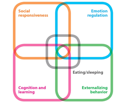 Overview of the conceptualization of DuMAND