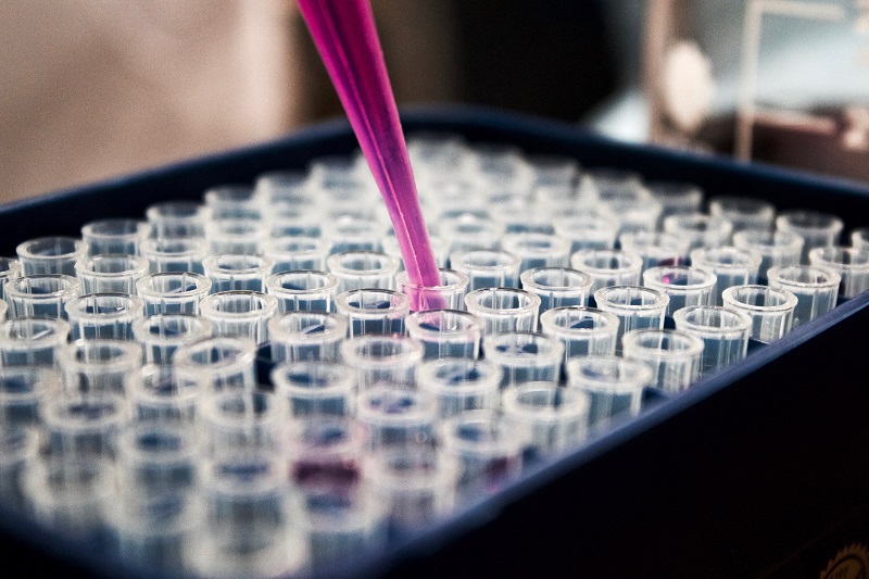 Pipetting pink liquid into clear vials