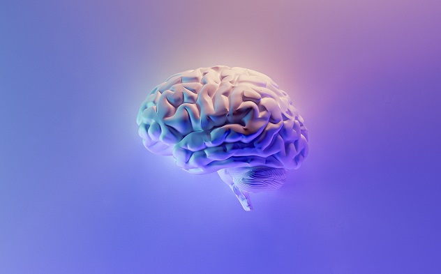 purple-hued brain visual